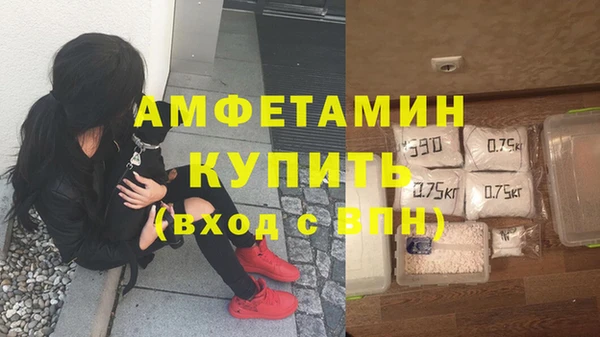 твердый Богородицк