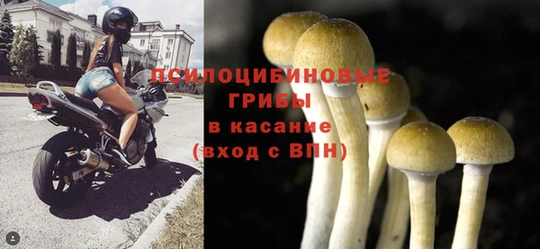 твердый Богородицк