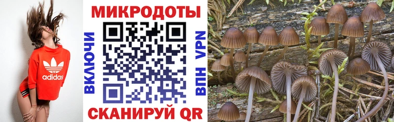 Галлюциногенные грибы мицелий мега ссылки Ясногорск